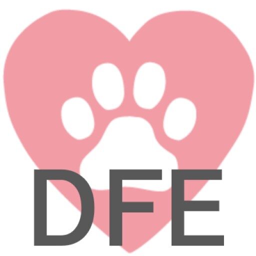 犬の食べ物大全