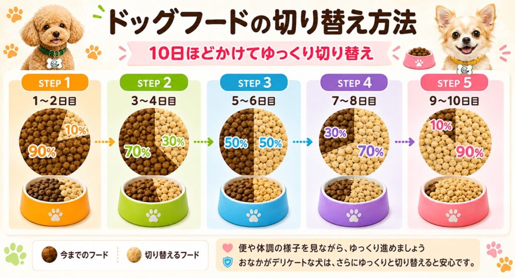 ドッグフードの切り替え方法