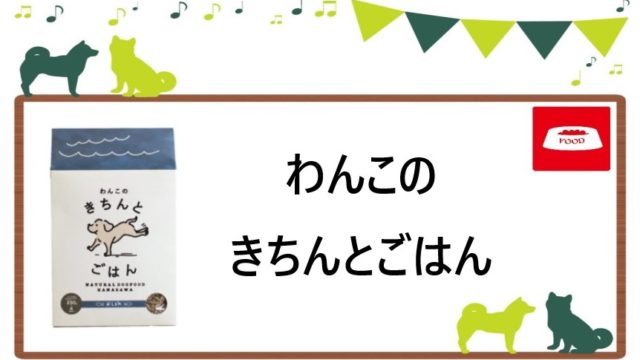 わんこのきちんとごはん トップ