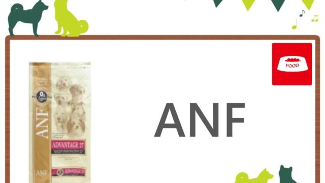 ANFドッグフード　トップ