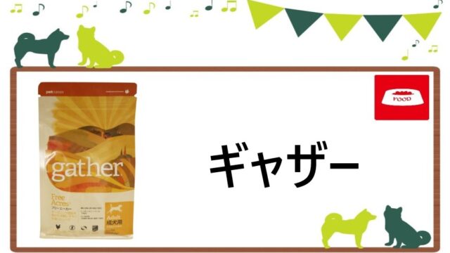 ギャザー　ドッグフード　ヘッダー
