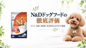 N&Dドッグフード アイキャッチ画像