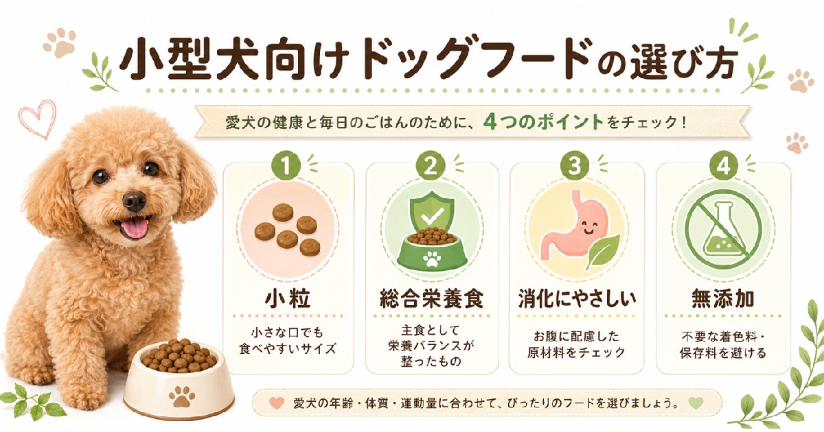小型犬向けドッグフードの選び方