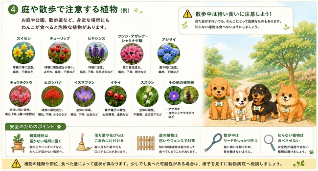 庭や散歩で犬が食べると危険な植物