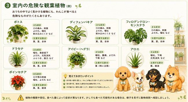 犬が食べると危険な観葉植物