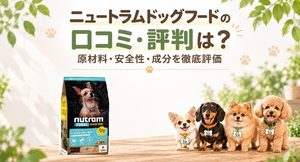 ニュートラムドッグフード アイキャッチ画像